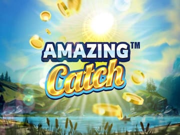 Amazing Catch